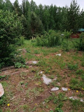 СТН Семья №112, Верхняя пышма на землях бывшего подсобного хозяйтва верхнепышминского опытного завода в Севастополе - sevastopol.yutvil.ru - фото 17 СТН Семья №112, Верхняя пышма на землях бывшего подсобного хозяйтва верхнепышминского опытного завода в Севастополе - sevastopol.yutvil.ru - фото 17